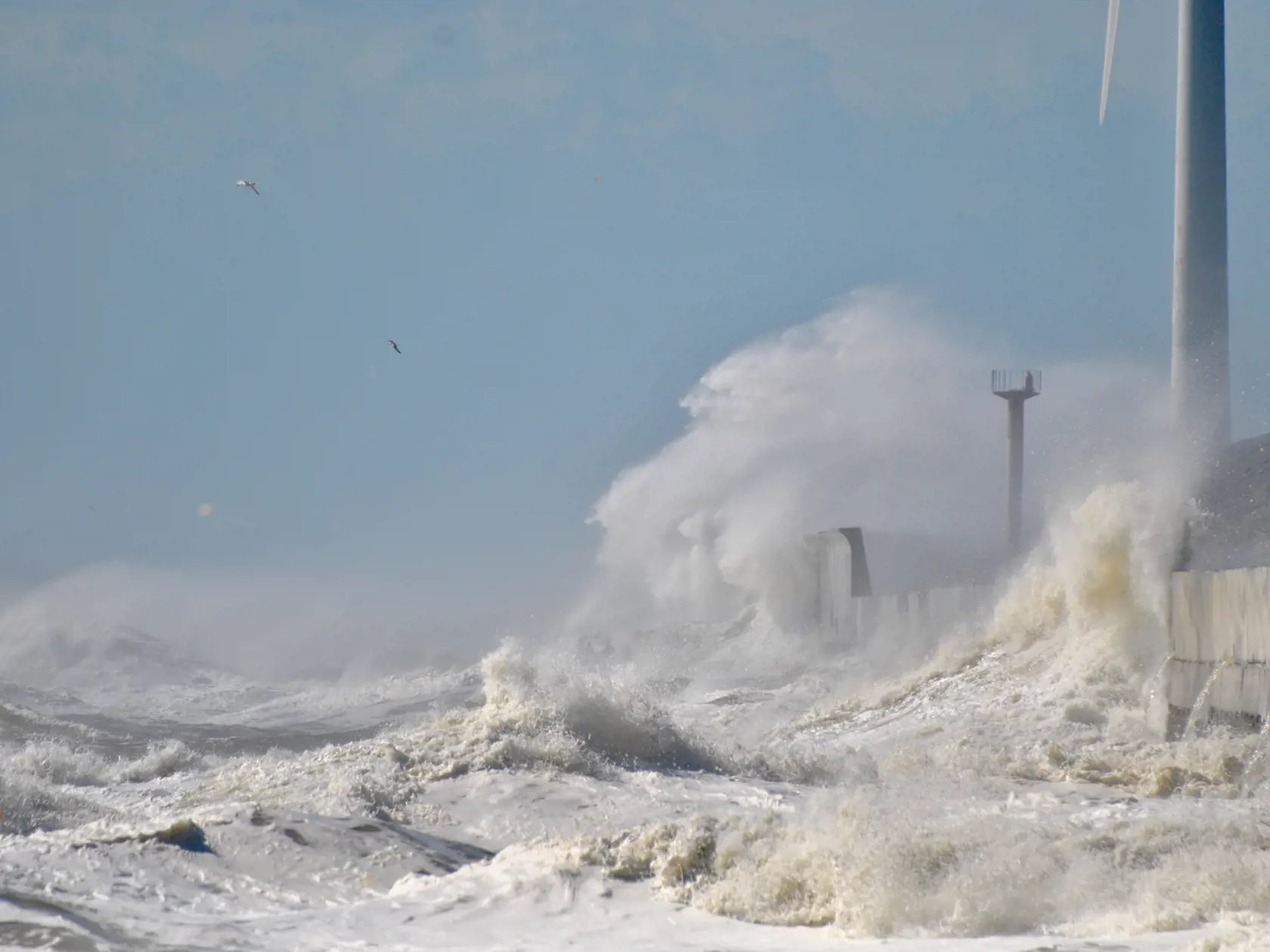 Tsunami