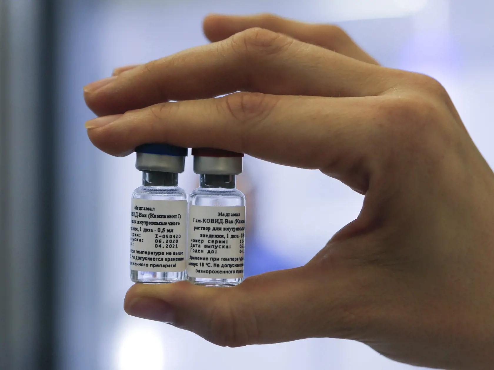 KK15 Moskva - Na snímke zo 6. augusta 2020 zamestnankyňa drží ampulky s novom vakcínou v ústave epidemiologického a mikrobiologického výskumu Nikolaja Gamaleja v Moskve. Ruský prezident Vladimir Putin v utorok 11. augusta 2020 uviedol, že v Rusku zaregistrovali prvú vakcínu proti koronavírusu SARS-CoV-2. Informovala o tom agentúra AFP. FOTO TASR/AP
In this handout photo taken on Thursday, Aug. 6, 2020, and provided by Russian Direct Investment Fund, an employee shows a new vaccine at the Nikolai