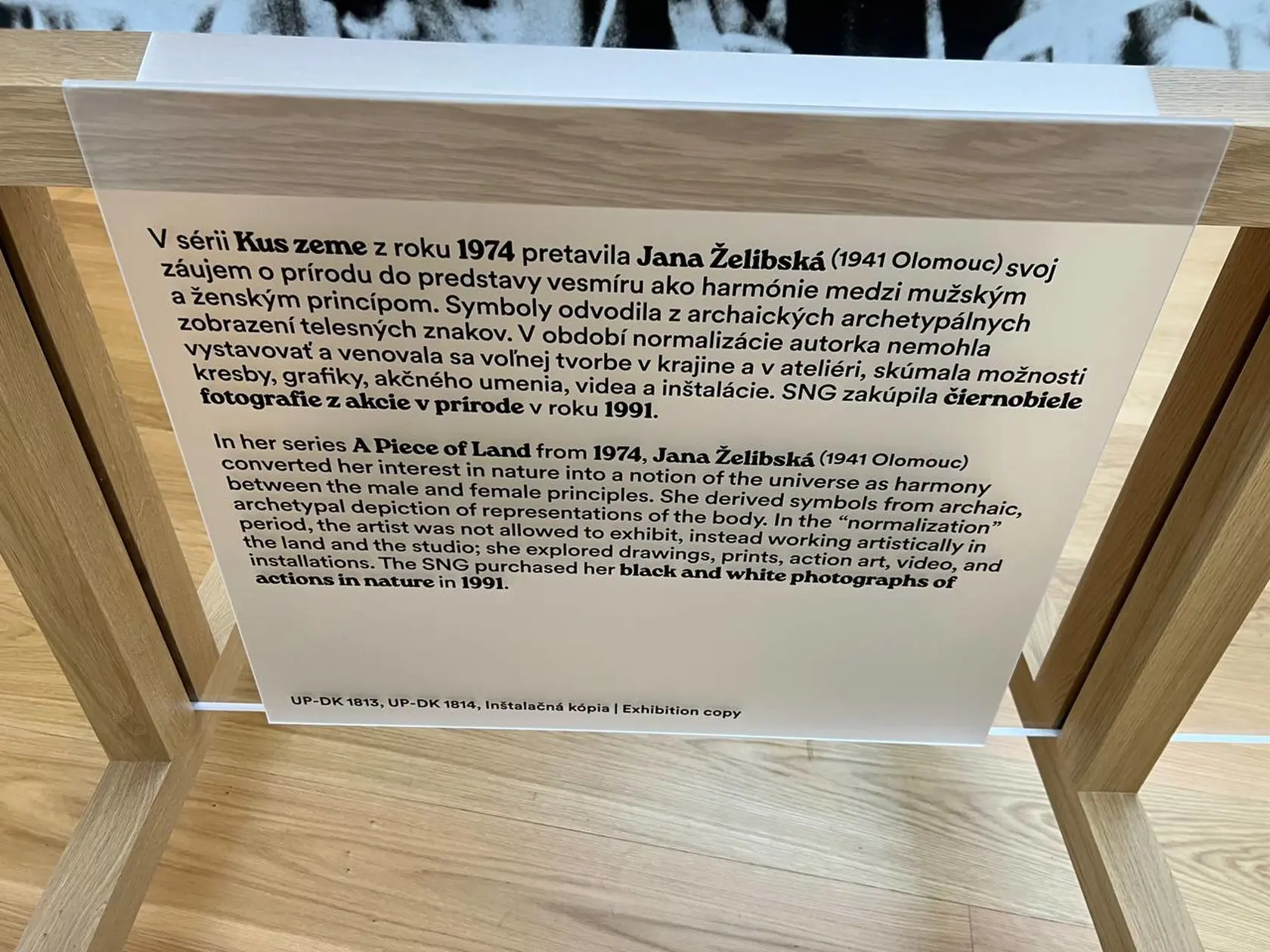 Lukáš Machala a Martina Šimkovičová na prehliadke SNG v marci 2025.