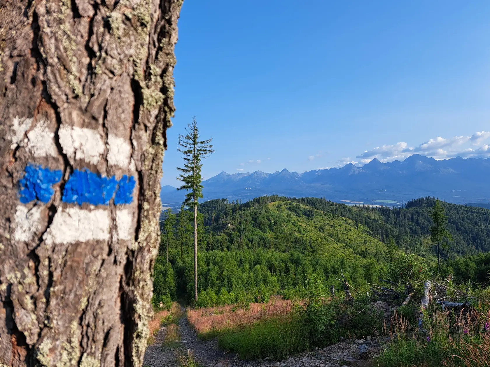 Na snímke pohľad na Vysoké Tatry z modro značenej turistickej trasy smerom na Kozí kameň v nedeľu 23. júla 2023.