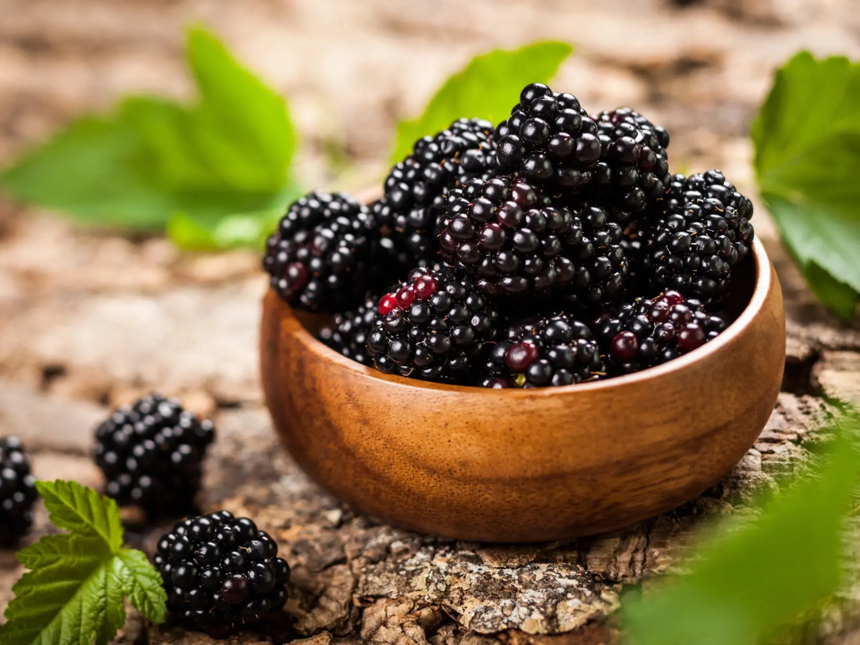 O černiciach je známe, že pomáhajú pri trávení a udržiavaní mladistvého vzhľadu pokožky. Toto ovocie je bohaté na vitamín C a antioxidanty známe ako bioflavonoidy. Konzumácia černíc zlepší trávenie, zvyšuje sústredenosť a posilňuje tkanivo, čo vedie k mladšiemu vzhľadu pokožky. V jednej porcii bobúľ existuje približne 62 kalórií.