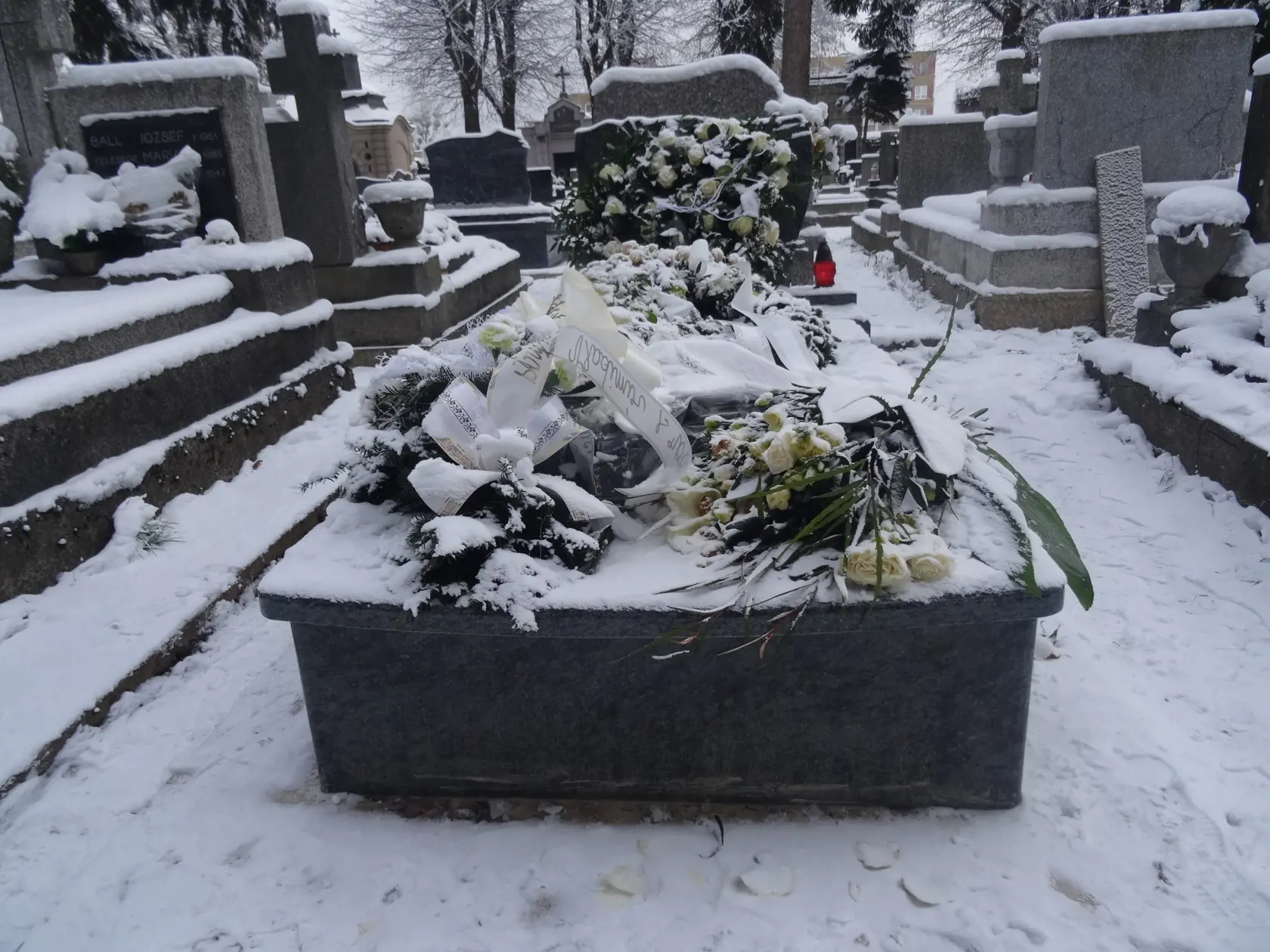 Hrob Moniky Potokárovej.  archívne foto)