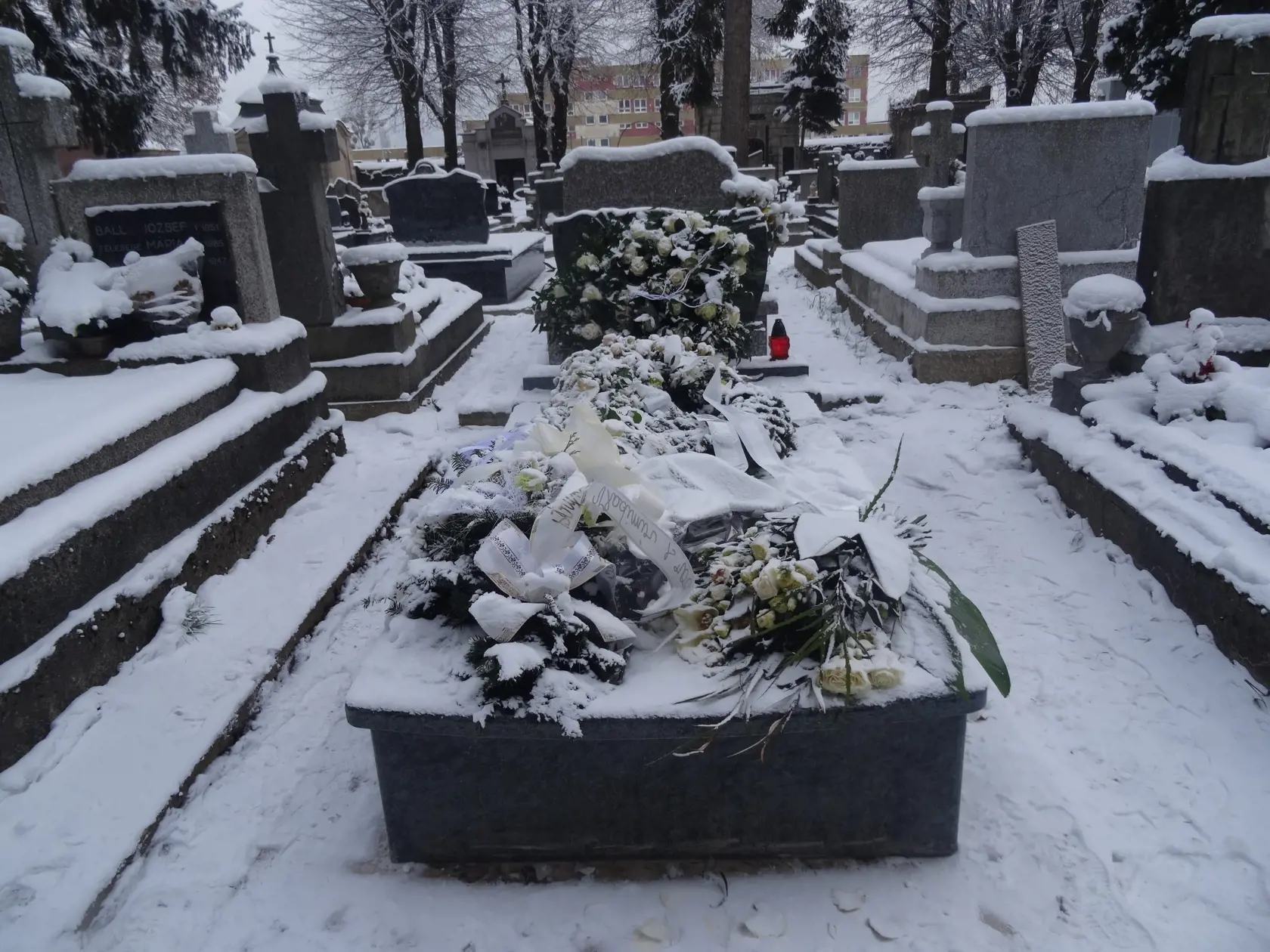 Hrob Moniky Potokárovej na Verejnom cintoríne v Košiciach tesne po pohrebe. (archívne foto)