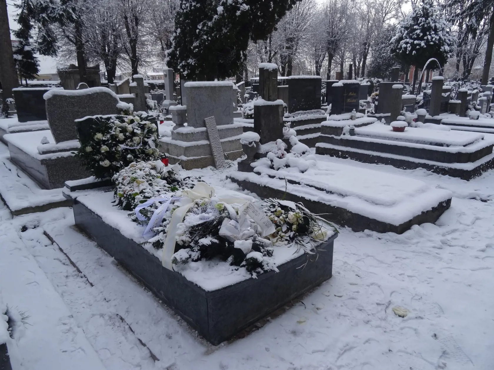 Za dobrovoľnou smrťou Moniky Potokárovej je stále mnoho otáznikov. (archív)