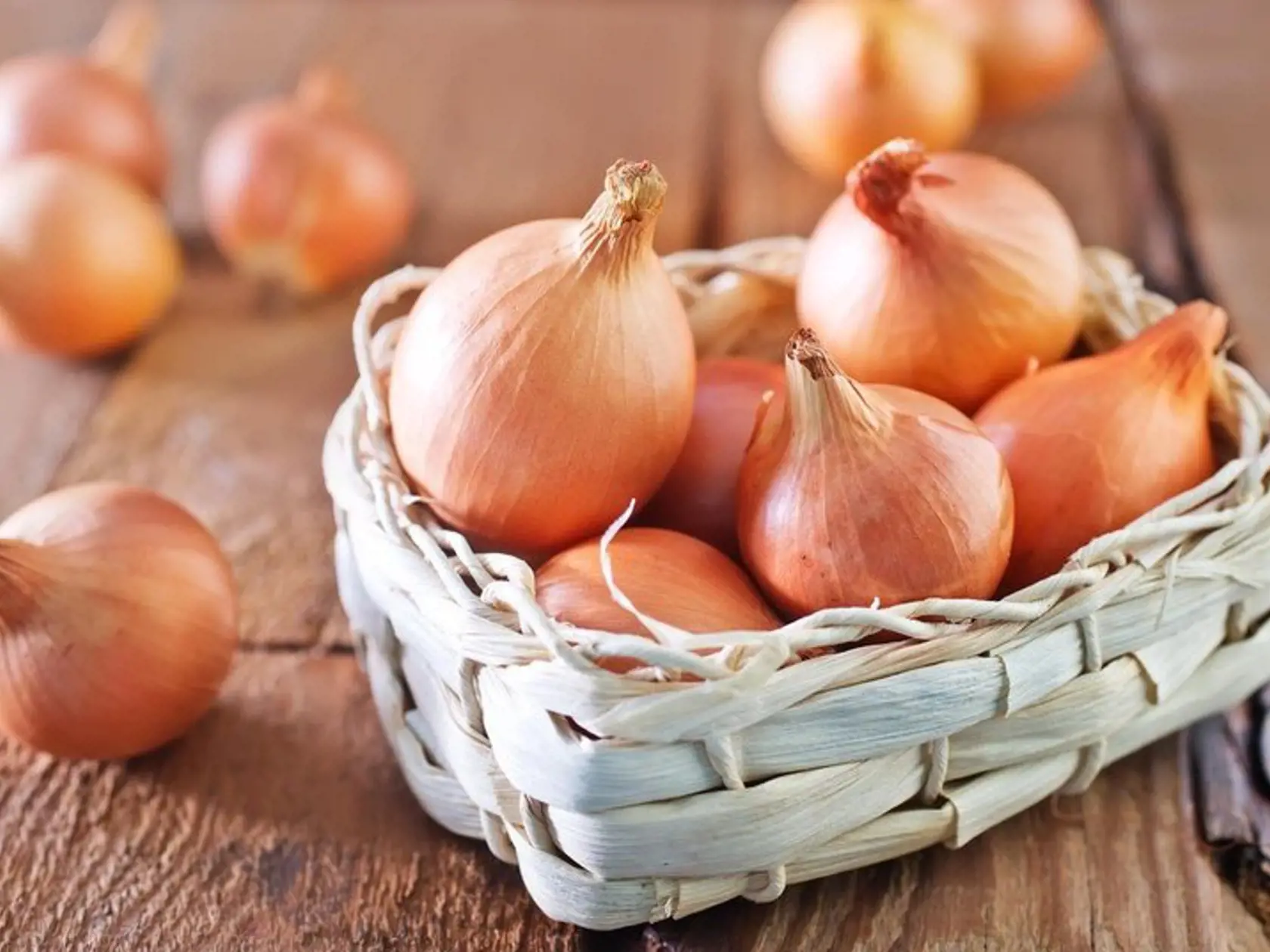 Cibuľa znižuje hladinu krvného cukru a  hladinu cholesterolu. 