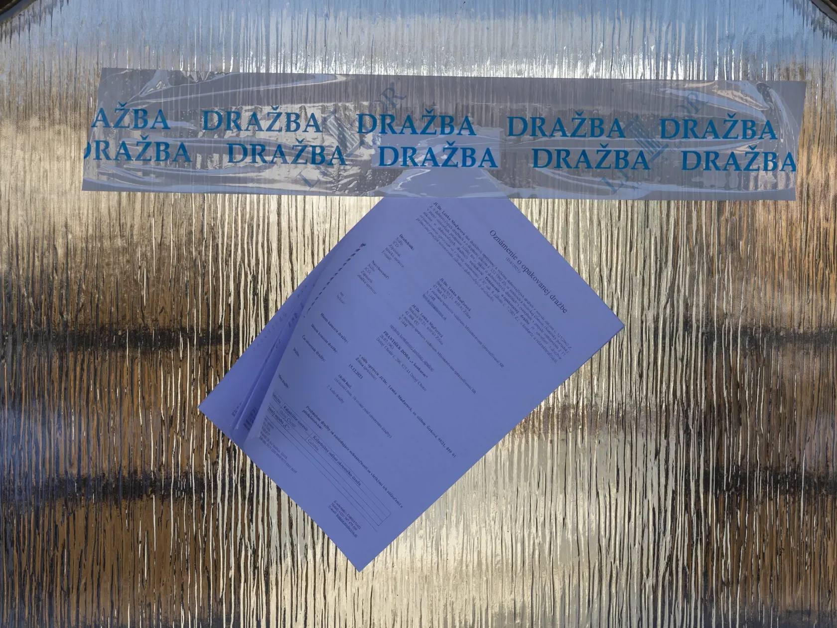 Dorov majetok, vrátane veľkolepého domu, sa predával na dražbe. Boli sme sa pozrieť, ako ten luxus vyzerá.