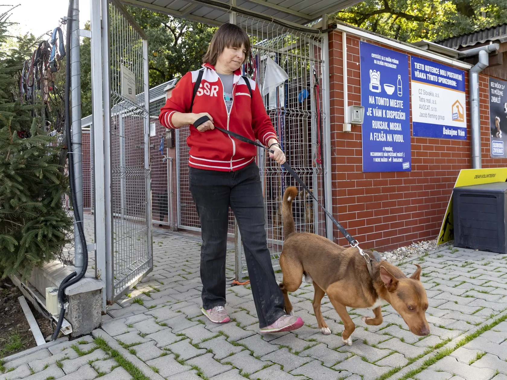 Sloboda zvierat, útulok pre opustené zvieratá v Bratislave.