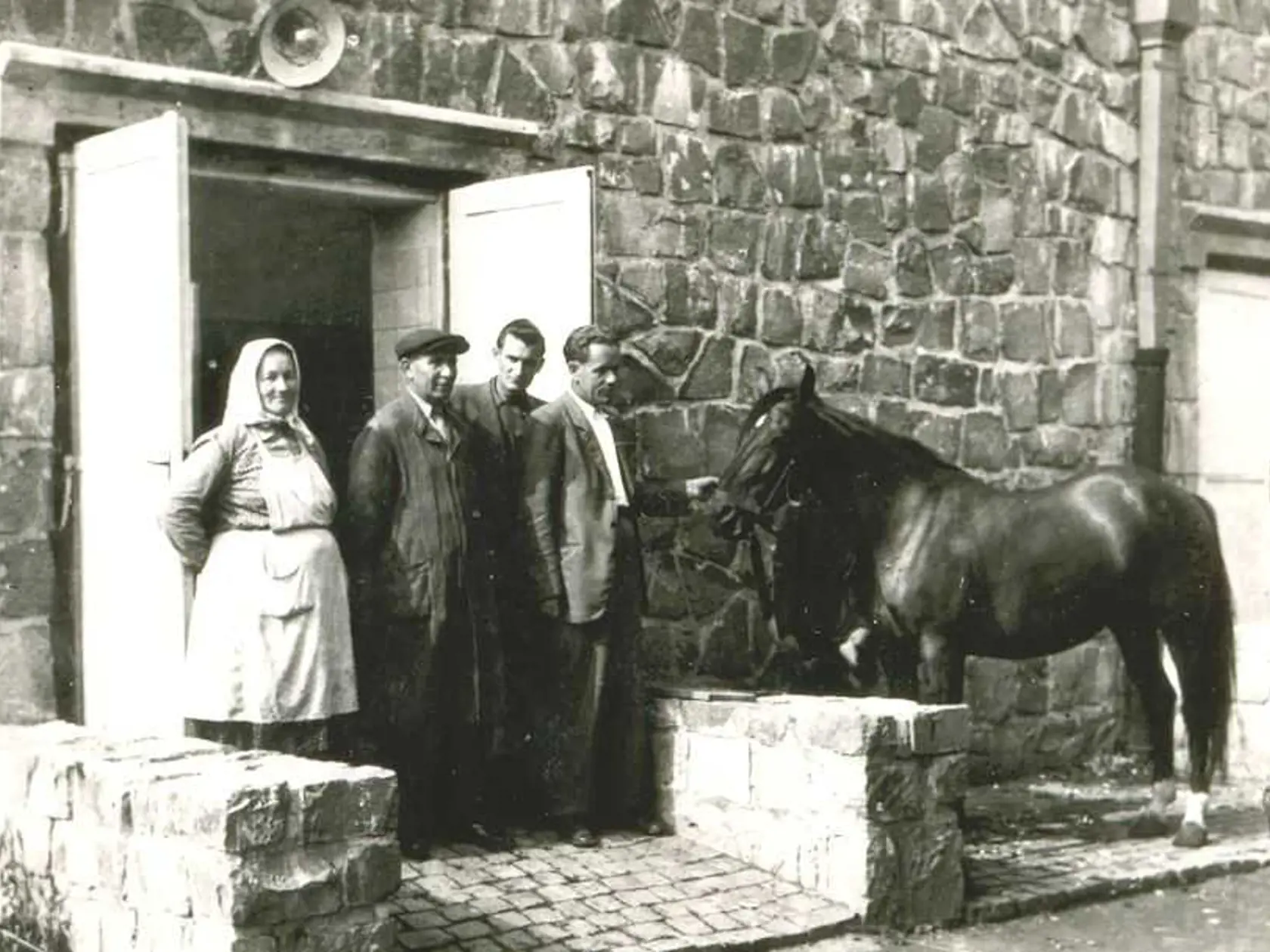 Imuna Šarišské Michaľany: Podnik vznikol v roku 1953 na výrobu antitetanového séra a očkovacích látok. Postupne výrobu rozšírili na prípravky z krvnej plazmy, živné pôdy, diagnostické či dietetické prípravky. V istom období bol u nás jediný, ktorý ponúkal krvné deriváty zo slovenskej plazmy. Po mečiarovskej privatizácii takmer zanikol. Pred niekoľkými rokmi noví majitelia investovali 12 miliónov eur do modernizácie a infúzne roztoky začali vyrábať na svetovej úrovni.
