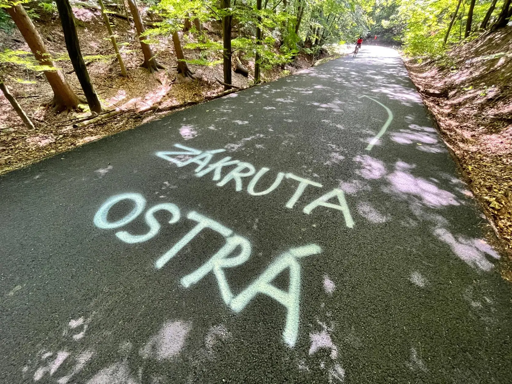 Jindrovi kamaráti na zem nasprejovali výstražné nápisy, aby sa už na osudnej zákrute nediali žiadne zbytočné tragédie.