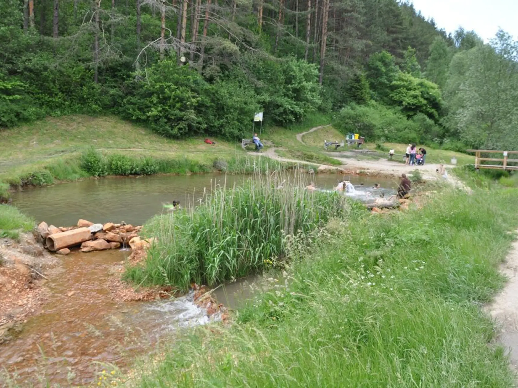 Pôvodne bolo okolie zarastené náletovými drevinami a trávou.