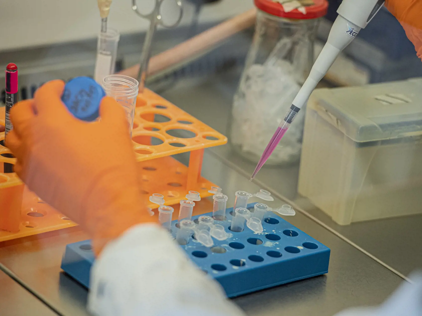 S plným nasadením kapacít súkromných a štátnych laboratórií odhaduje štát v priebehu týždňov počet testovaných pacientov až na 4000 denne.
