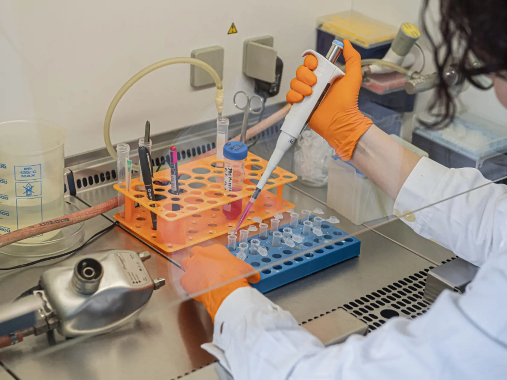 S plným nasadením kapacít súkromných a štátnych laboratórií odhaduje štát v priebehu týždňov počet testovaných pacientov až na 4000 denne.
