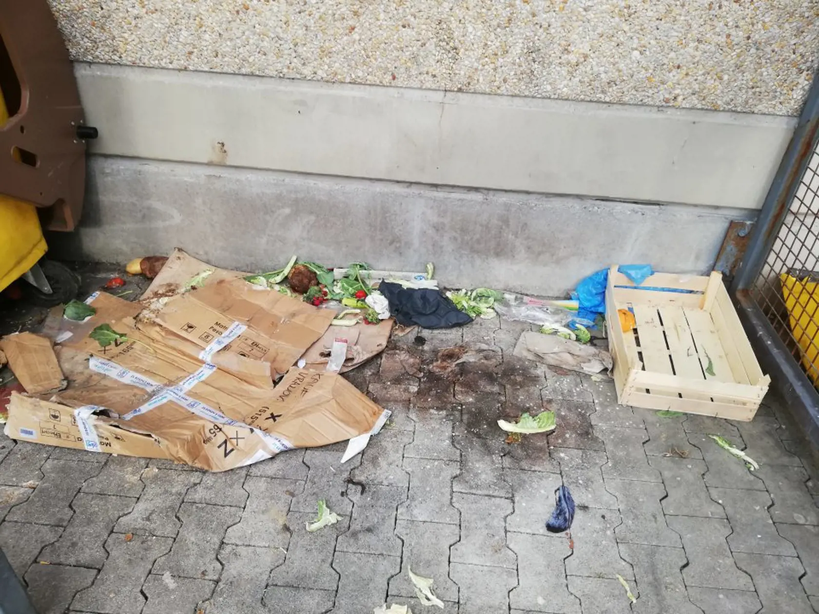 Aj takto skladujú potraviny. Najčastejším prehreškom v našich obchodoch bola zanedbaná čistota a zlé podmienky v skladoch. Špina v obchode či sklade má vplyv aj na kvalitu potravín a v konečnom dôsledku aj na naše zdravie.