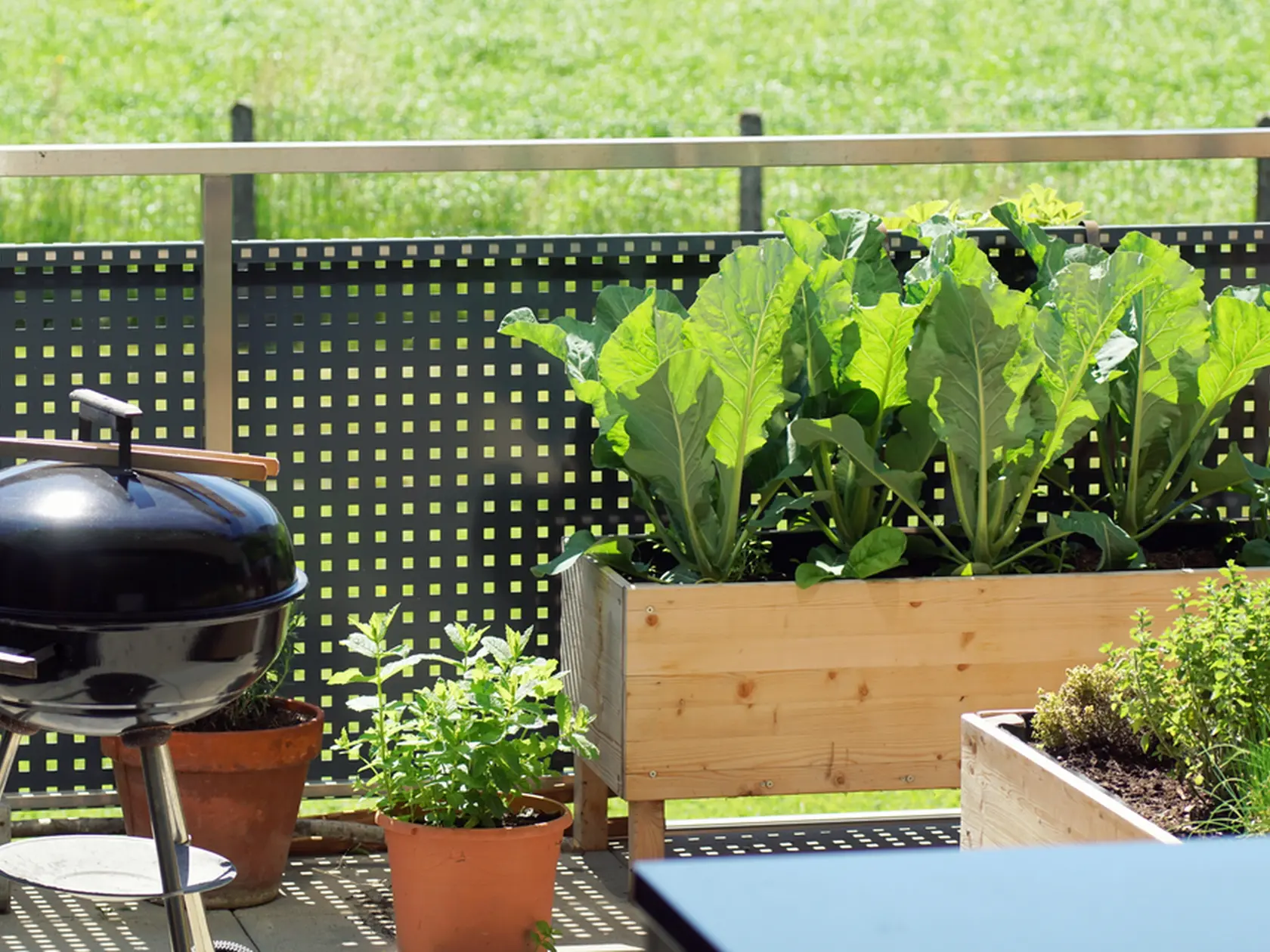 Summer urban terrace garden with growing vegetables and barbecue