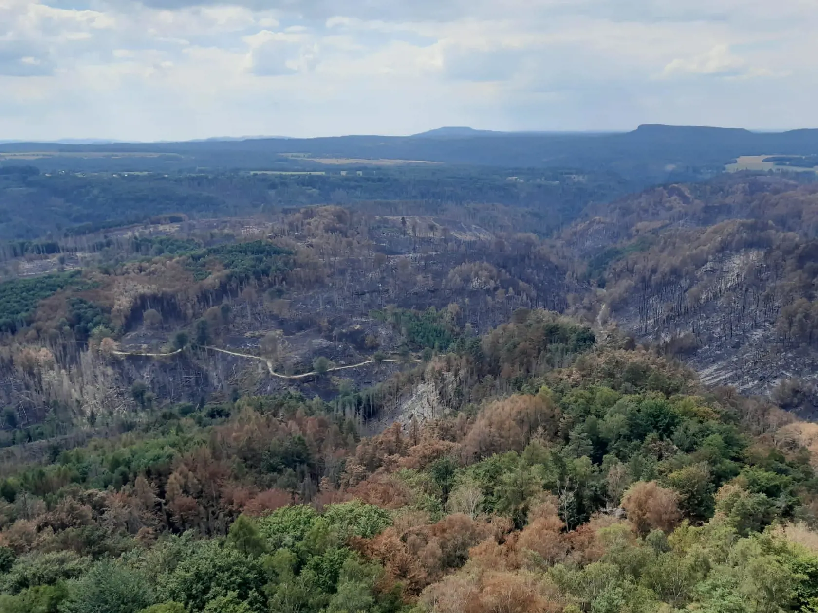 Zdrvujúci pohľad na to, čo ostalo po ničivom požiari v Národnom parku České Švajčiarsko.