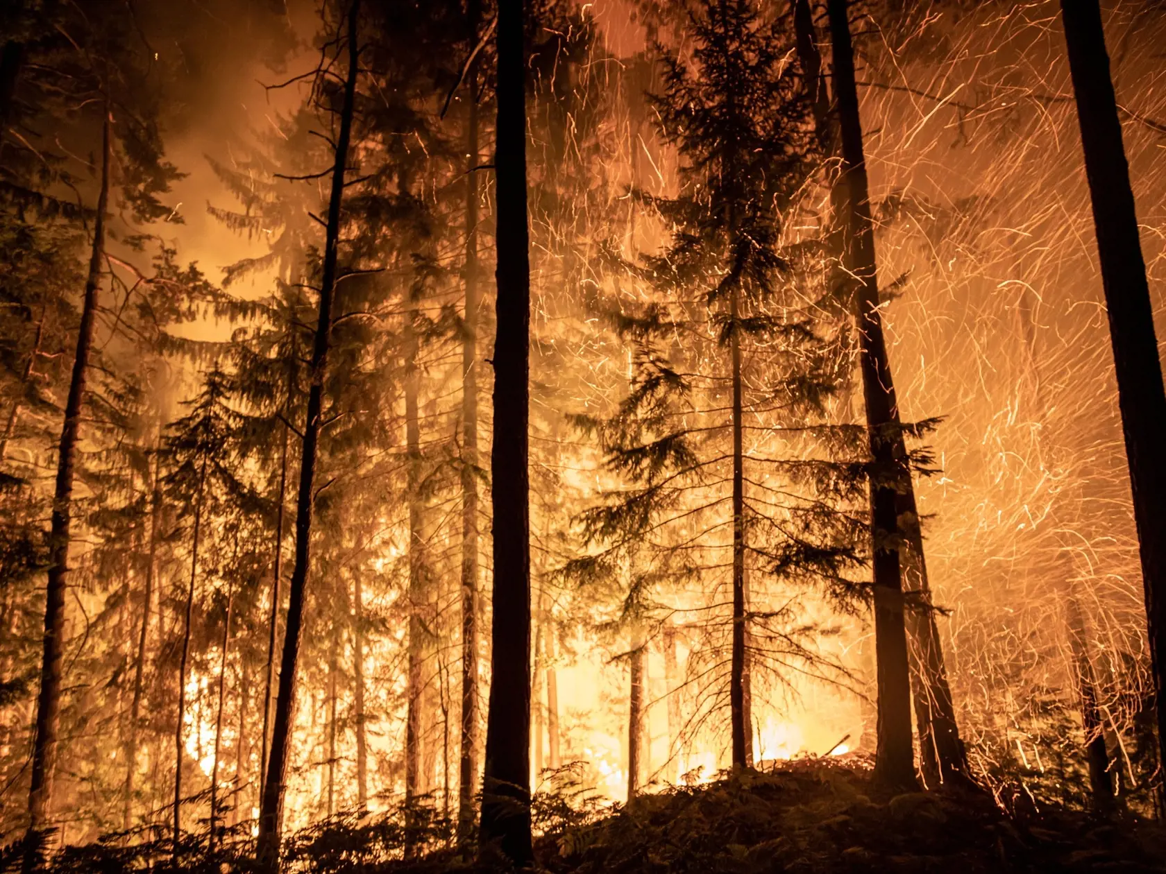Obrovský požiar zničil národný klenot Čechov.