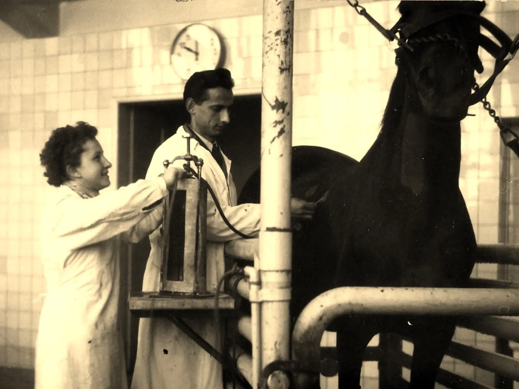 Historické foto z výroby v štátnom podniku Imuna Šarišské Michaľany.