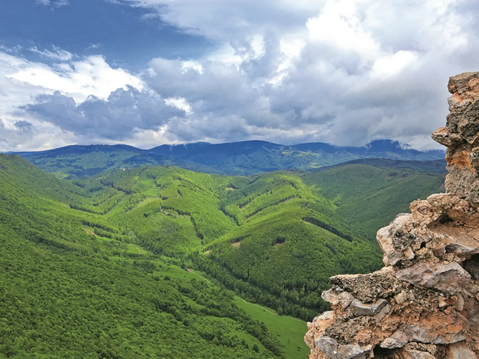 Muránska planina: Do týchto hôr patrí aj hlucháň. Možno ho čoskoro nahradí psík medvedíkovitý.