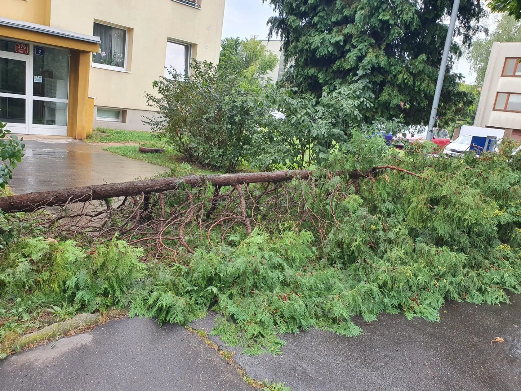 Hasiči v Prahe a stredných Čechách v sobotu popoludní odstraňovali následky búrky - šlo najmä o popadané stromy a zlomené vetvy.