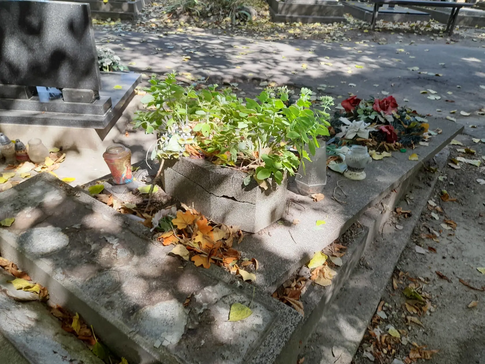 Hrobové miesta, za ktoré sa neplatí nájom, sa postupne rušia.