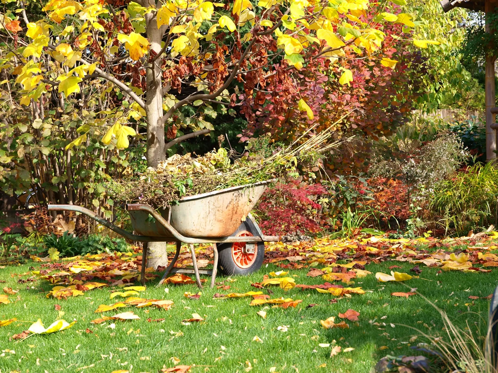 Wheelbarrow