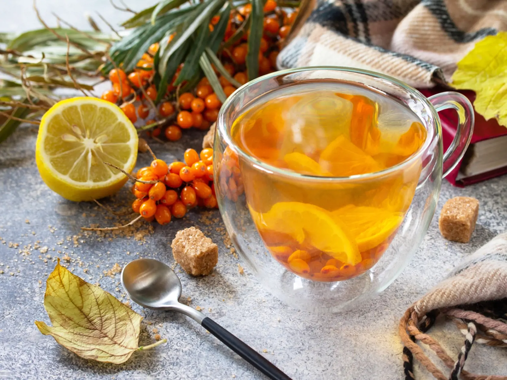 Healthy,Autumn,Vitamin,Drink.,Hot,Sea,Buckthorn,Tea,With,Lemon