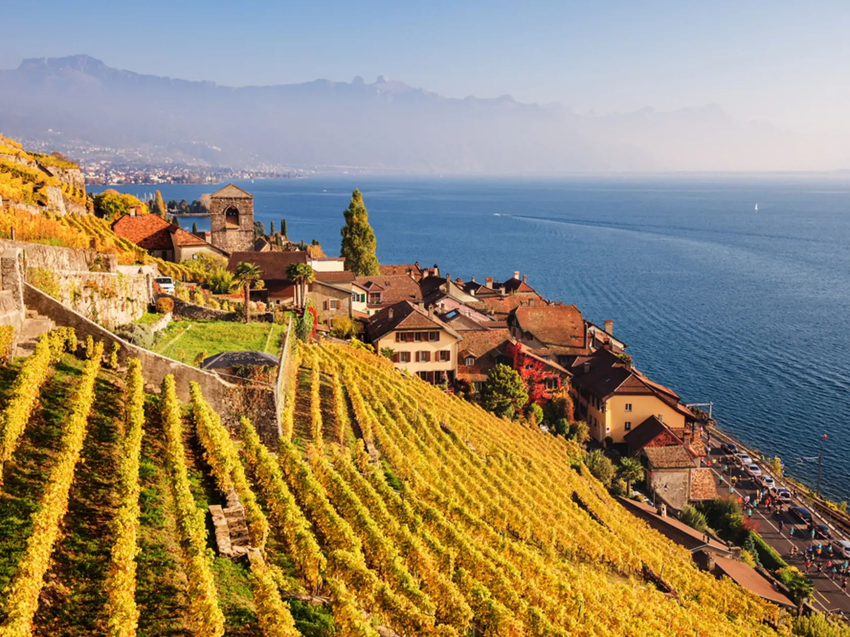 Vineyard,Terraces,At,Lake,Geneva,In,Autumn,,Lavaux,,Vaud,,Switzerland