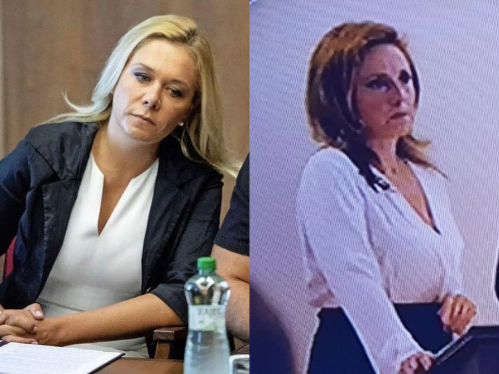 KOSATKA Jana Balogová prezývaná Kosatka vystupuje v seriáli Za sklom 3 ako ministerka obrany, nápadne sa podobá na ministerku vnútra SR Denisu Sakovú.