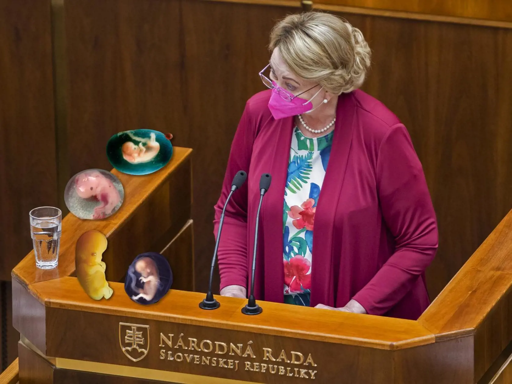 FIKCIA
NÁZORNÁ UKÁŽKA
Anna Záborská si do
parlamentu priniesla
figúrky embryí.
