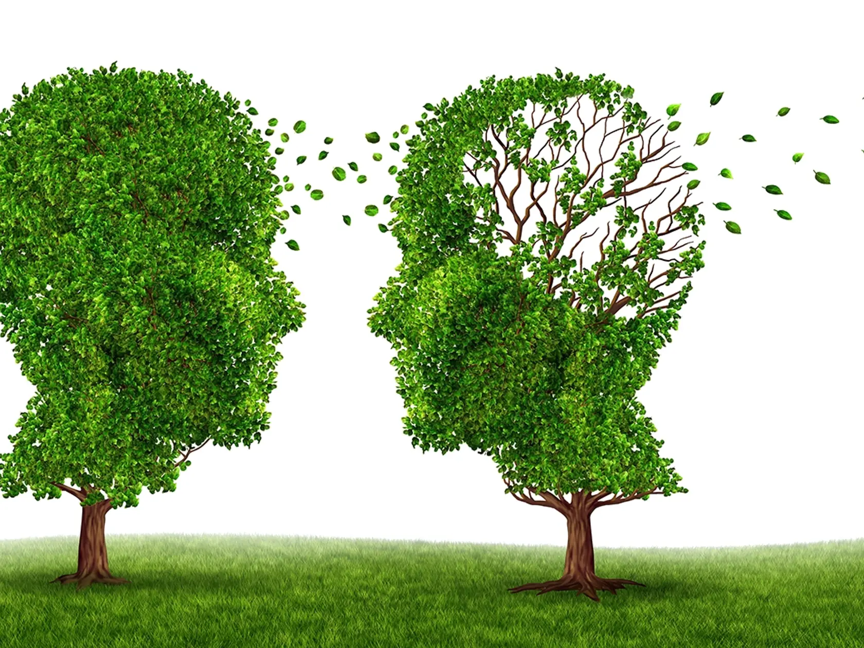 strom - stromy - zelené lístie - ľudská hlava - alzheimer - ilustrácia