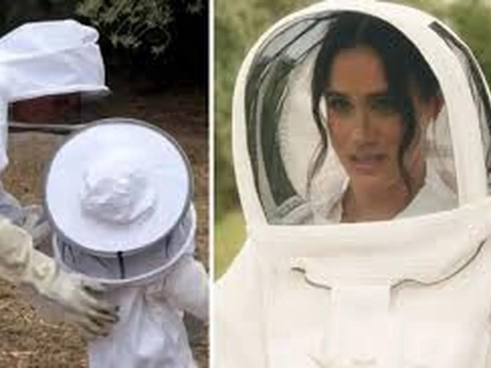 Meghan vášeň o včelárstvo prejavila aj v dokumente. 