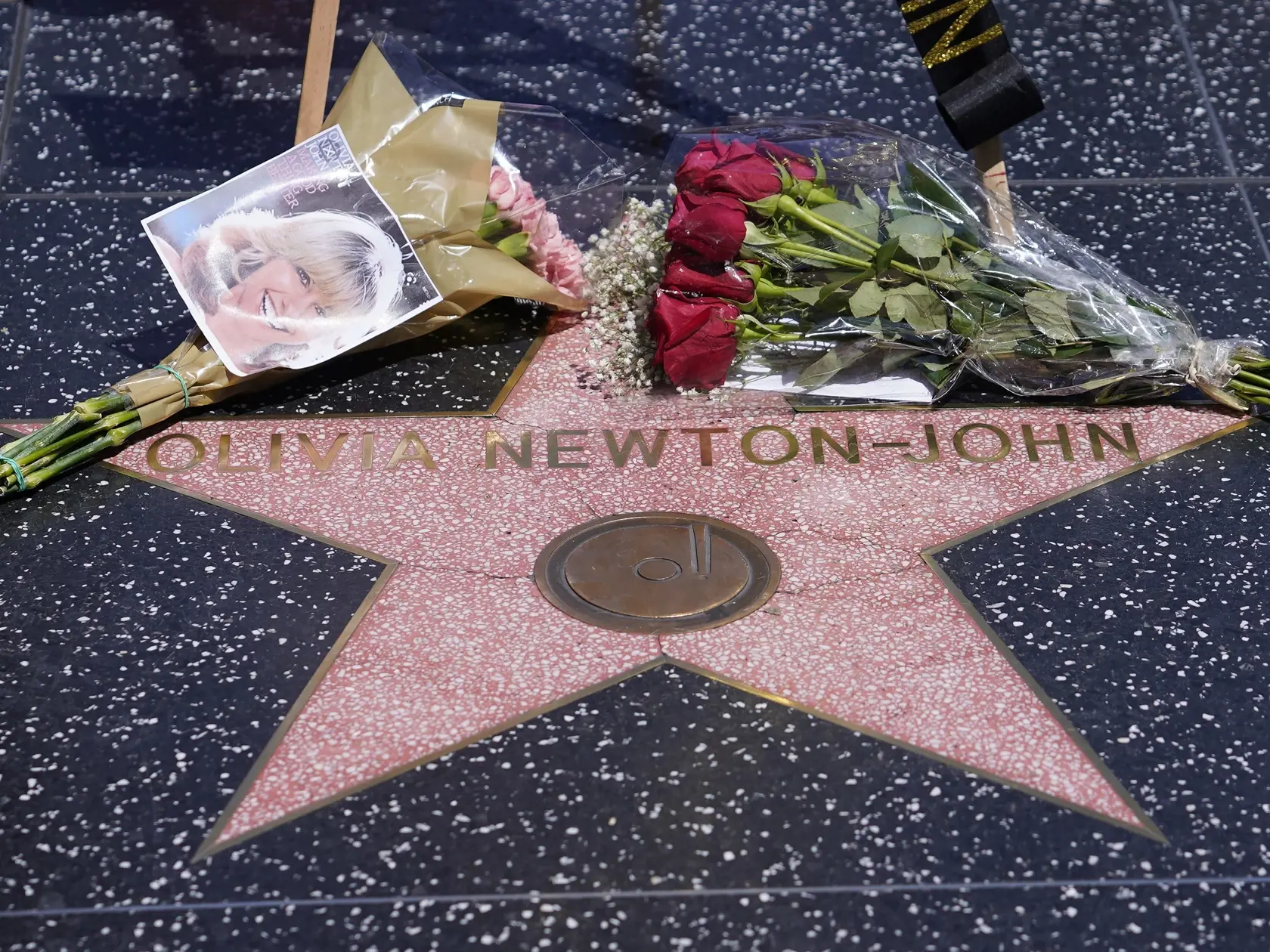 Pri jej hviezde na Hollywoodskom chodníku slávy pribúdajú jej fotky a kvety.