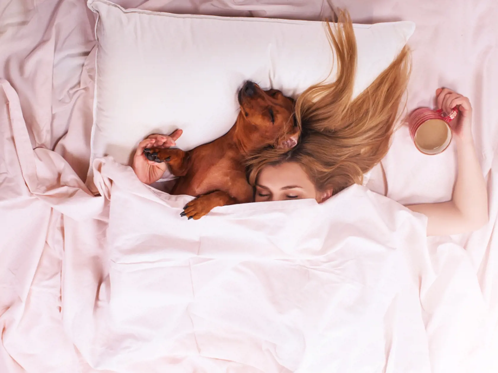Relaxed,Girl,In,Bed,Sleep,With,Your,Favorite,Dog