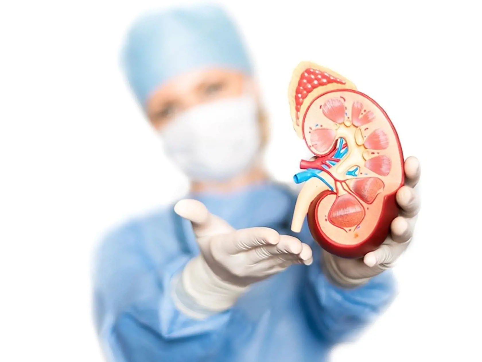 V niektorých prípadoch možno transplantovať aj takzvaný umelý orgán.