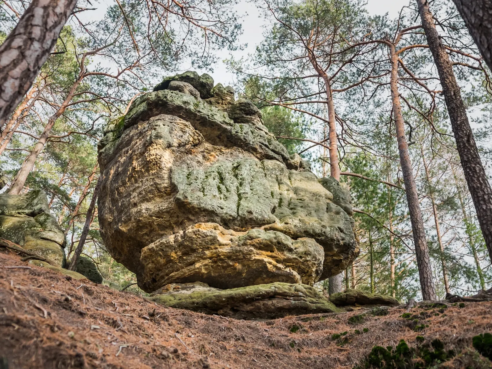 Toulovcovy maštale - prírodná rezervácia