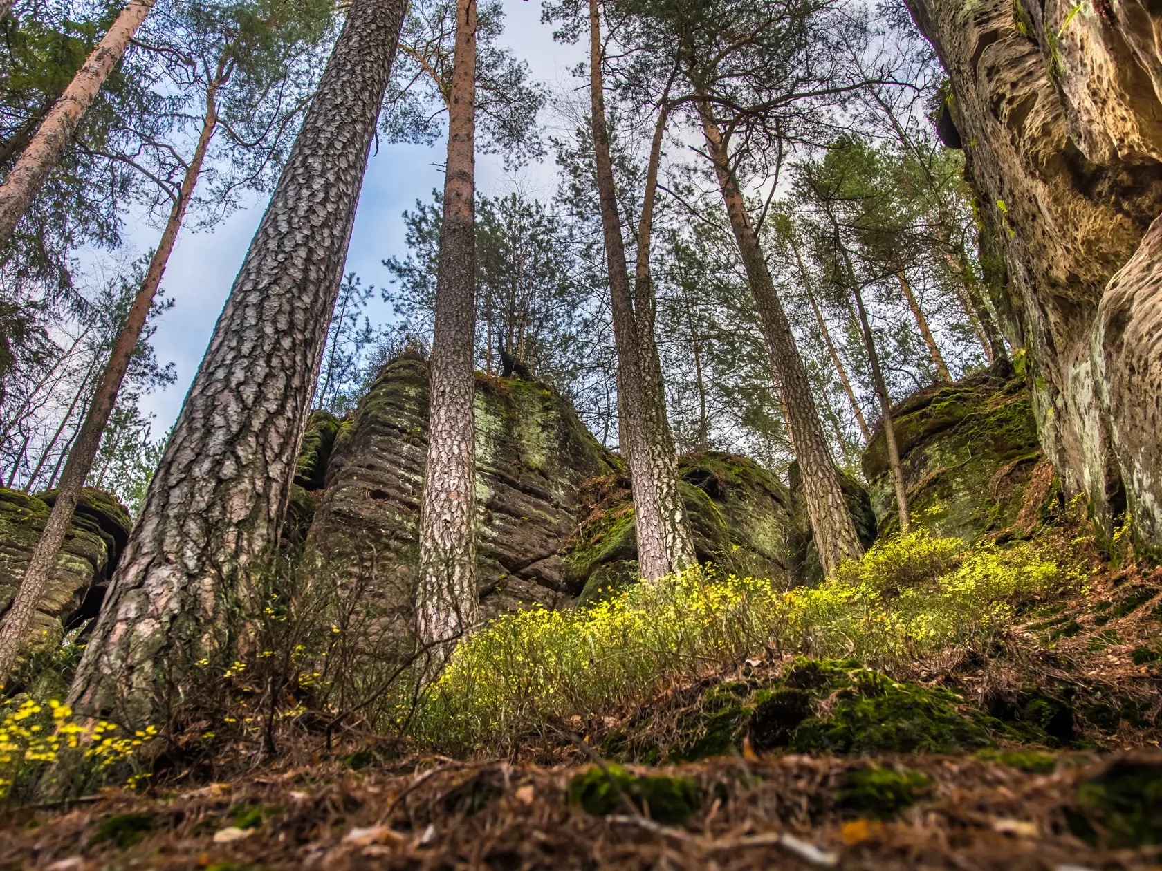Toulovcovy maštale - prírodná rezervácia