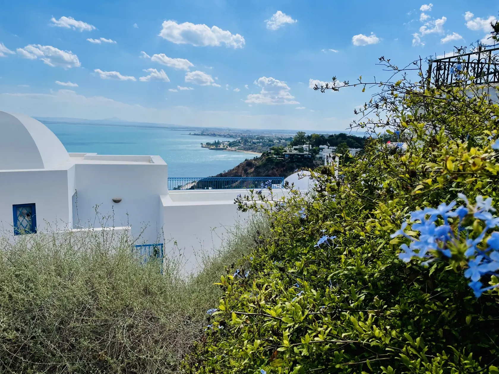 Sidi bou said