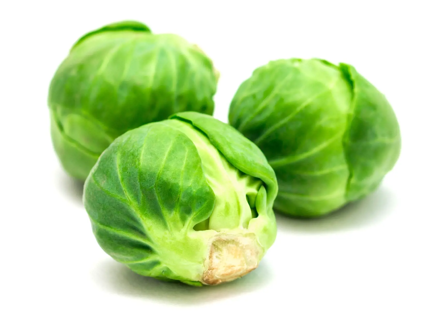 Ružičkový kel
