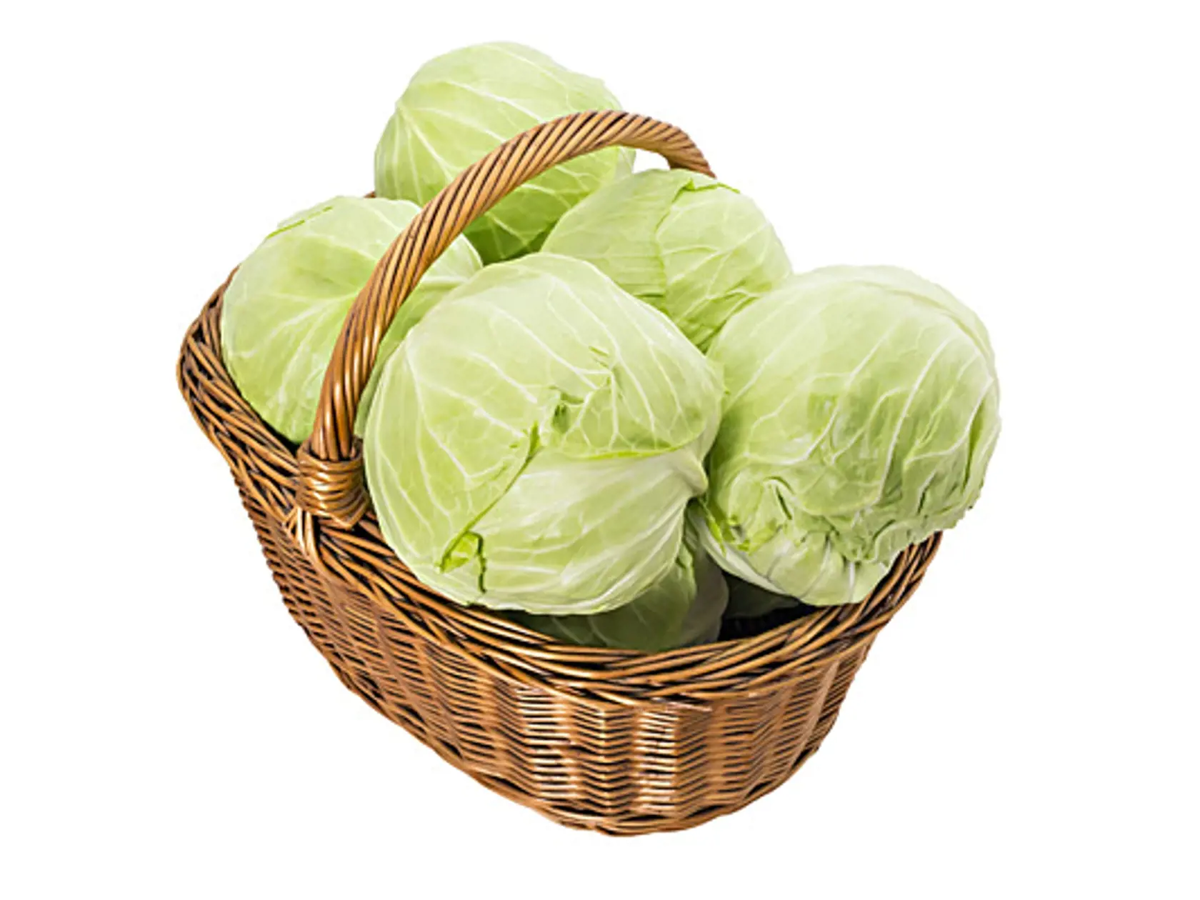 Kapusta