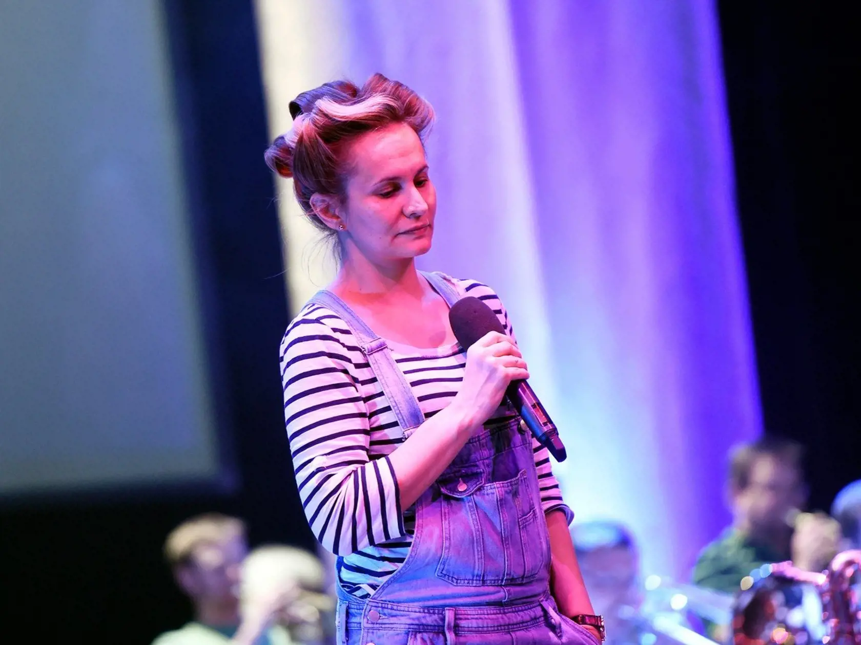 11-04-2017 Praha divadlo Hybernia oslava osmdesÃ¡tÃ½ch narozenin Karla Å tÄ›drÃ©ho, Image: 328817847, License: Rights-managed, Restrictions: , Model Release: no, Credit line: Profimedia, TEMP ML photo