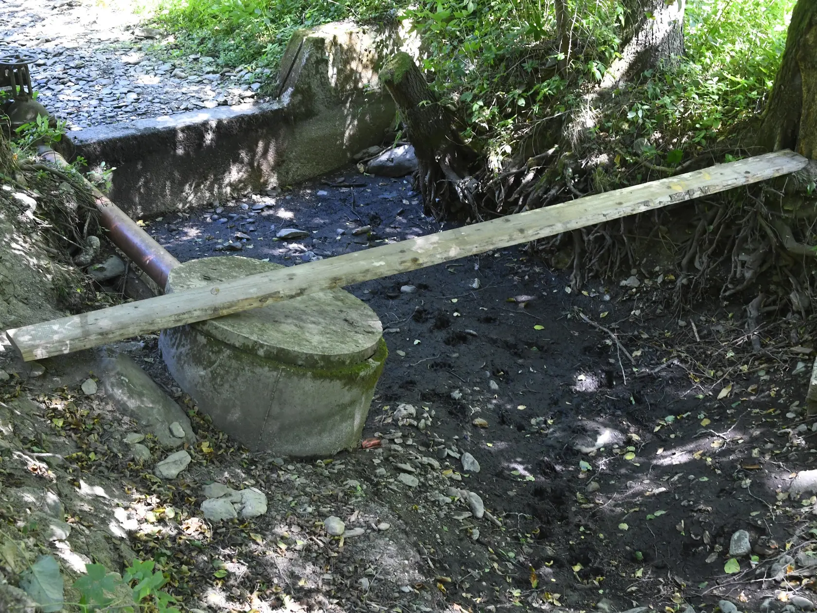 Mimoriadna situácia s nedostatkom vody je v obci Pača, okres Rožňava. Dôsledkom nedostatku zrážok vyschol potok, miestny zdroj vody. V súčasnosti obec zabezpečuje vodu prostredníctvom cisterien, z ktorých sa voda čerpá do vodojemu nad obcou. Okrem vodární im vodu nosia aj dobrovoľní hasiči z obce Plešivec. Na snímke vyschnutý potok nad obcou Pača, okres Rožňava, na mieste odberu vody do vodojemu v piatok 12. augusta 2022. FOTO TASR - Milan Kapusta

