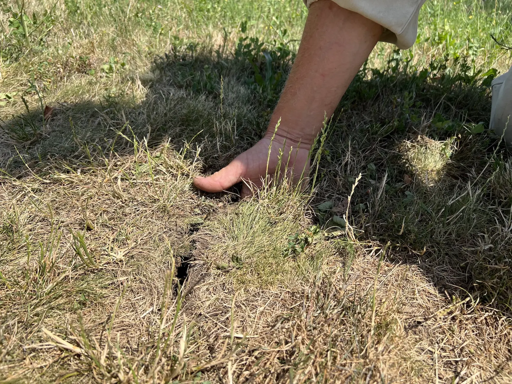„U nás boli suchá vždy extrémne. Odborníci nám raz vysvetlili, že blízkosť Dudiniec a podzemné teplé pramene, ktoré sú tam pomerne významné, spôsobujú vírenie vzduchu nad touto oblasťou. Takže keď sa sem horko-ťažko nejaká oblačnosť aj dostáva, práve vírenie vzduchu z podzemných vôd vyháňa odtiaľto oblačnosť preč,” vysvetľuje Ivan Talaj.
