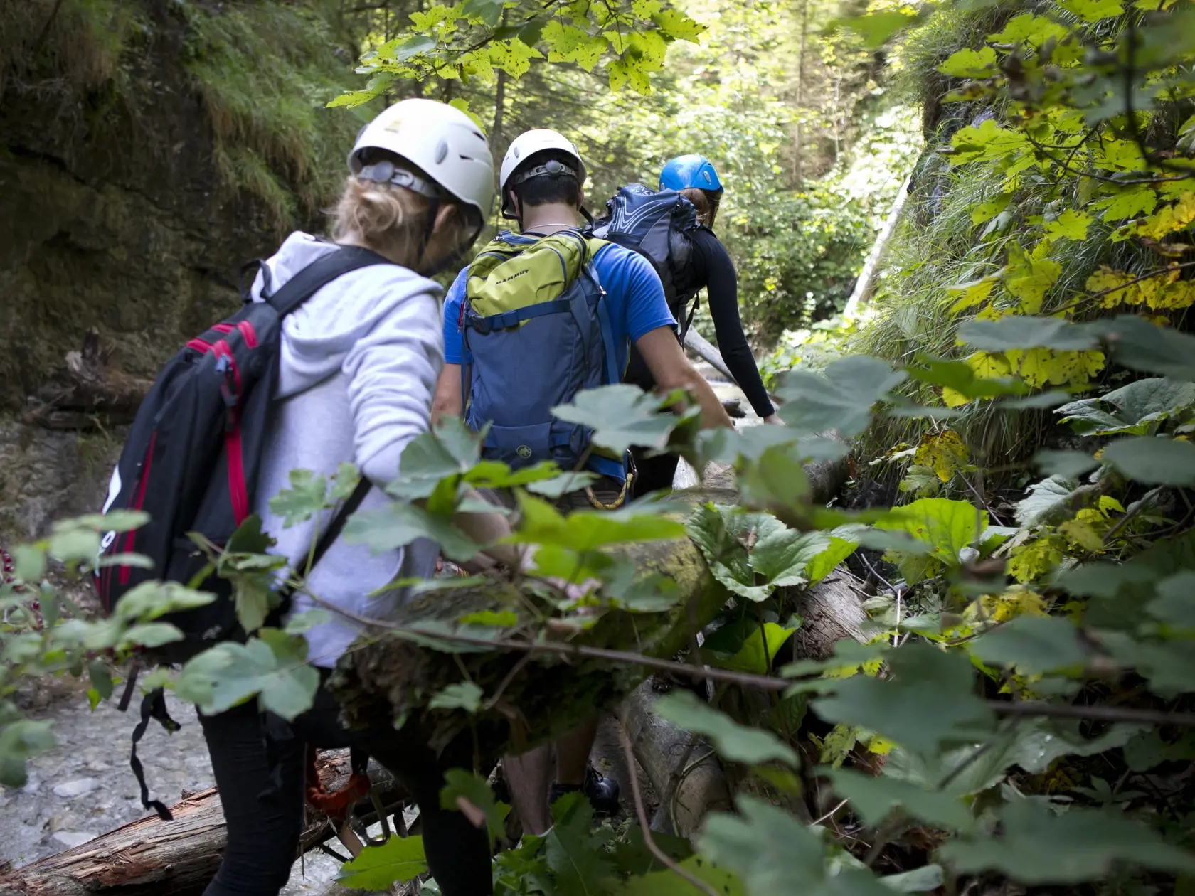 Slovensky raj - Ferrata Kysel. Otvorenie novej zaistenej turistickej cesty v Slovenskom raji v casti rokliny Kysel, ktora bola pre verejnost uzavreta od roku 1976 z dovodu rozsiahleho poziaru. V rokline za poslednych 40 rokov nebol ziadny zasah cloveka.