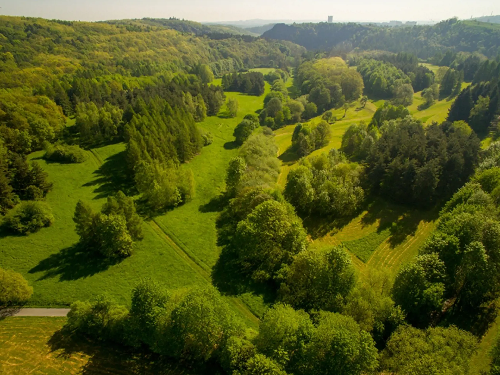 Divoká Šárka