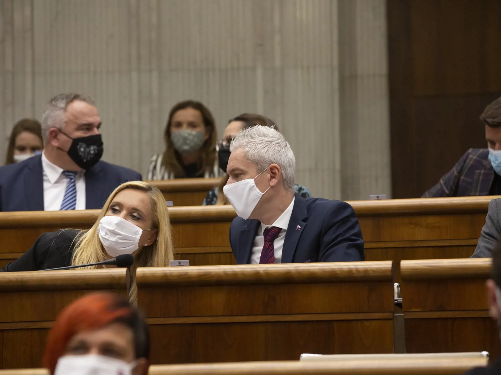 Národná rada Sloveskej republiky
12. schôdza, 
Denisa Saková, Ján Ferenčák, 