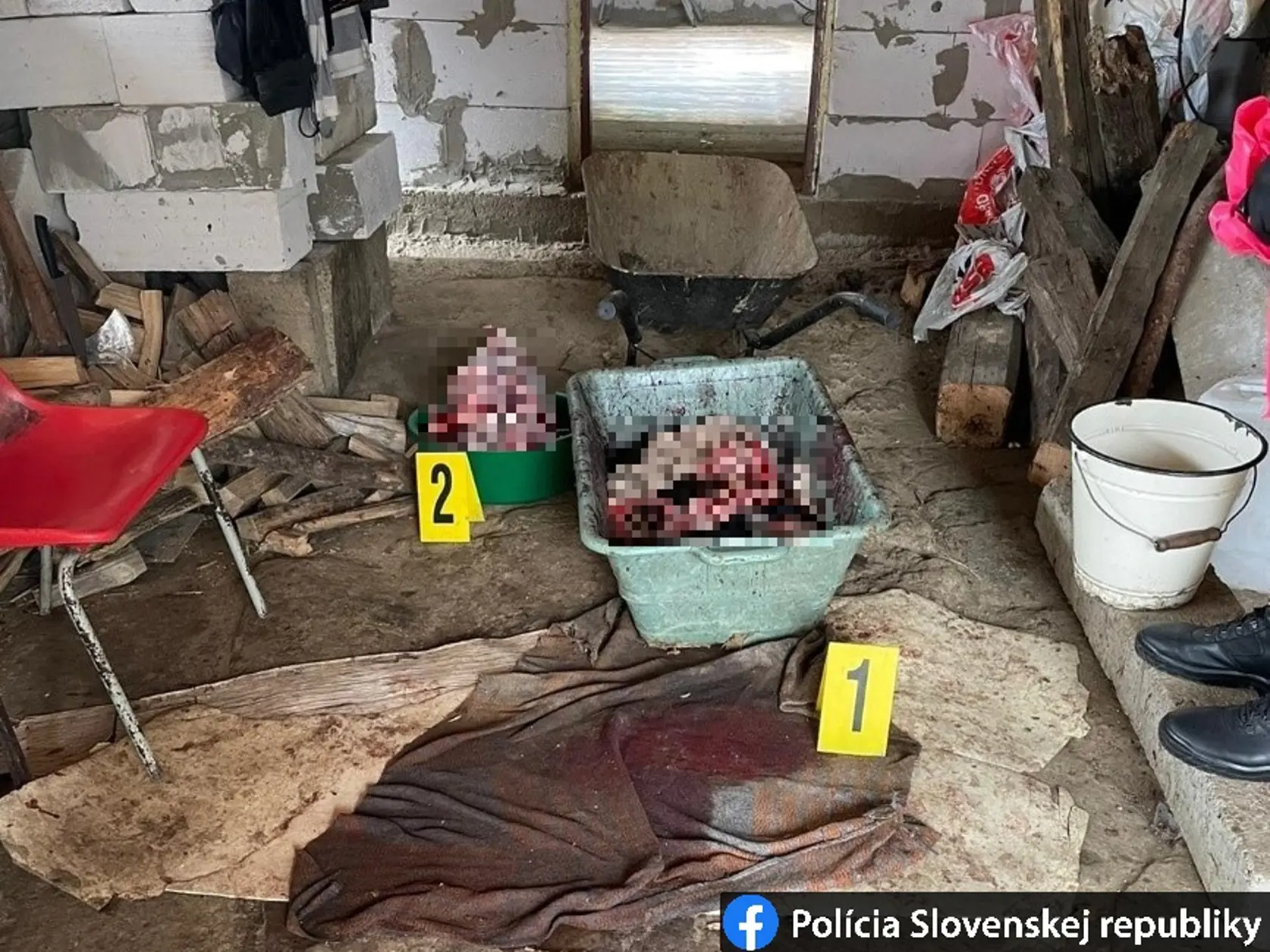 Enviropolicajti zadržali 40-ročného muža, ktorý mal utýrať minimálne piatich psov. Zvieratá mal udierať do hlavy až dokým nezahynuli a potom im mal tupým nožom odrezať hlavy od tela.