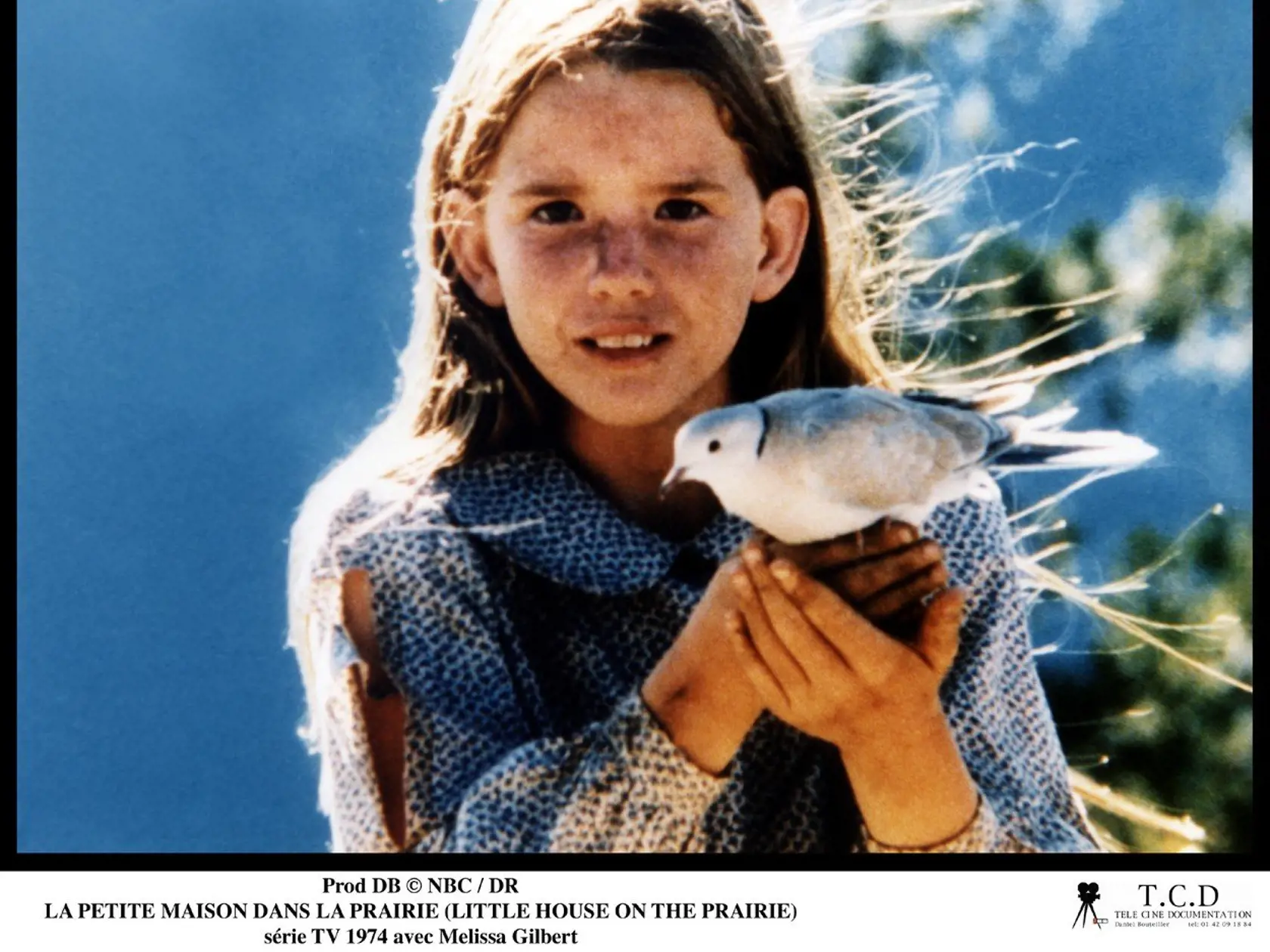 Prod DB Â© NBC / DR LA PETITE MAISON DANS LA PRAIRIE (LITTLE HOUSE ON THE PRAIRIE) se?rie TV 1974 USA avec Melissa Gilbert, Image: 174126872, License: Rights-managed, Restrictions: NO RESTRICTION, Model Release: no, Credit line: Profimedia, Visual movies