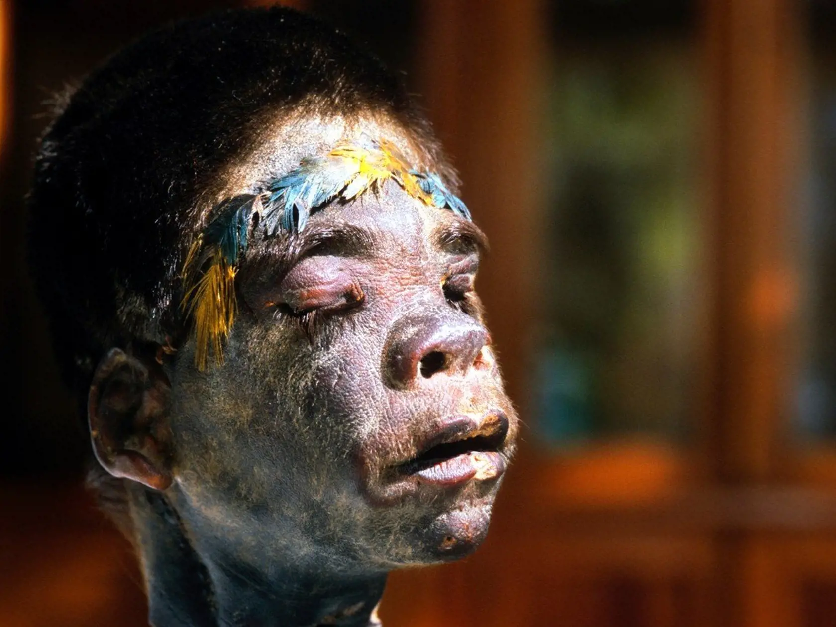 African shrunken head. A shrunken head is a severed and specially prepared human head that is used for trophy, ritual, or trade purposes. First the skull and fat is removed from the head, leaving the skin and flesh, red seeds are placed underneath the eyelids and the eyelids and mouth are sewn shut. After being boiled in water containing tannins, the head is dried with hot rocks and sand, while moulding it to retain its human features. Here, decorative feathers have been placed around the forehe
