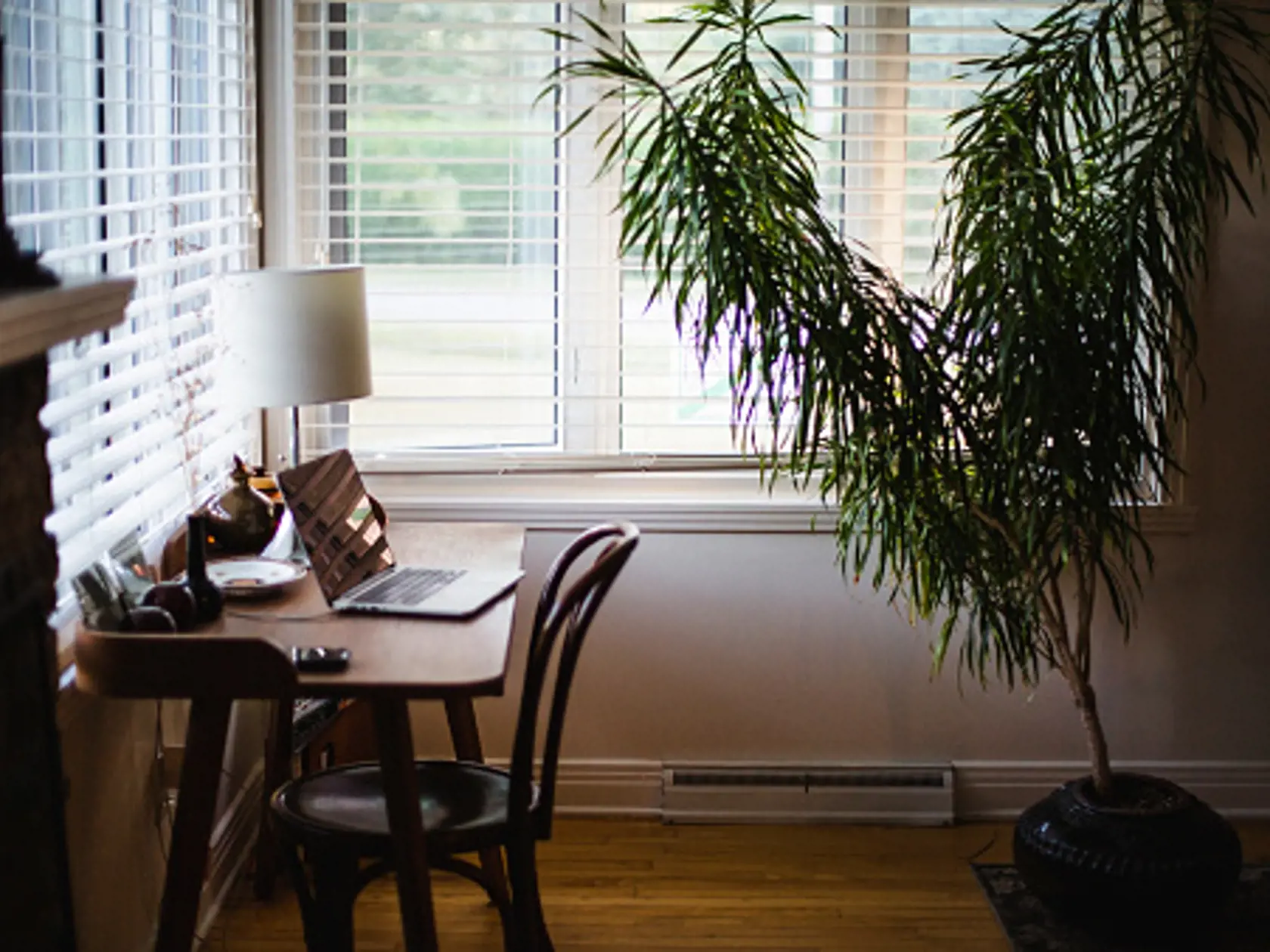 Home office with a desk, laptop and plant