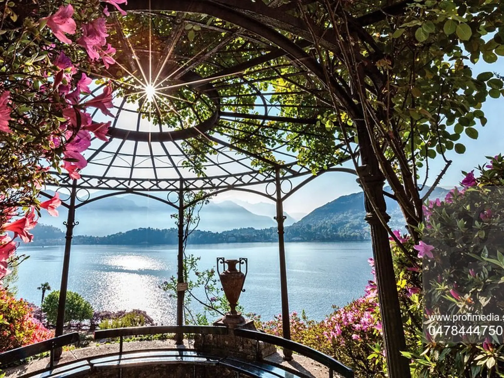 Villa Carlotta, Tremezzo, Como lake, Lombardy, Italy. Details of the villa's garden in bloom.